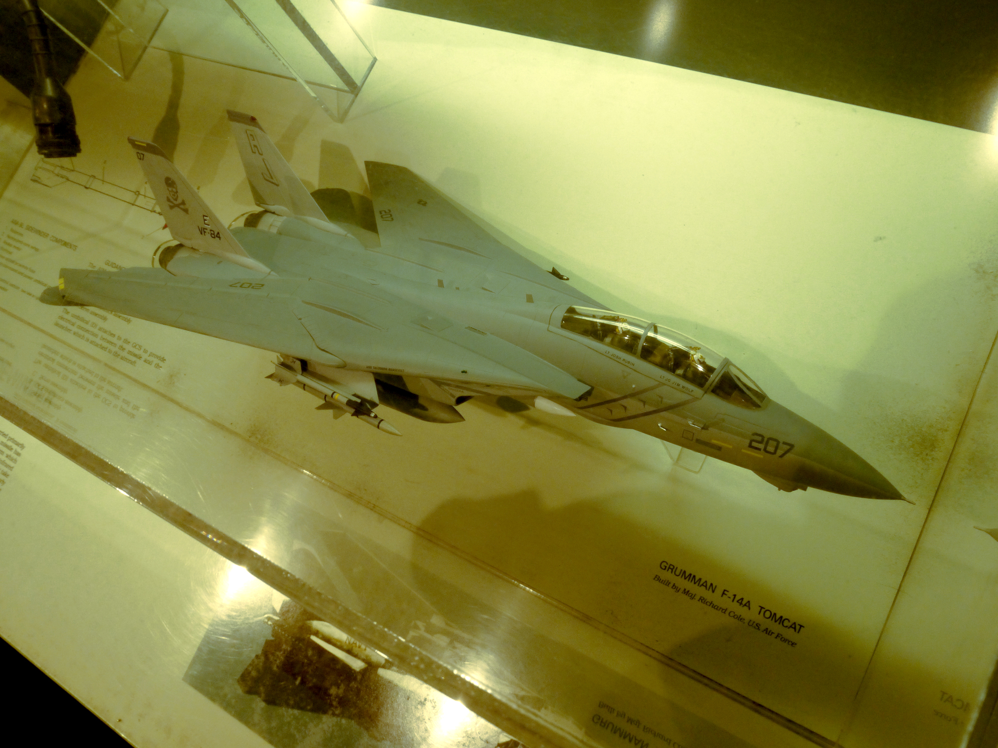 Large F-14 model